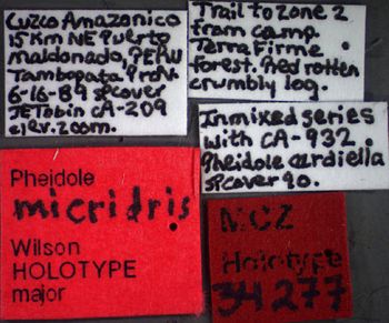 Media type: image;   Entomology 34277 Aspect: labels